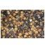 Chana (with shell)